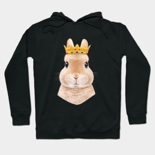 Rabbit princess Hoodie